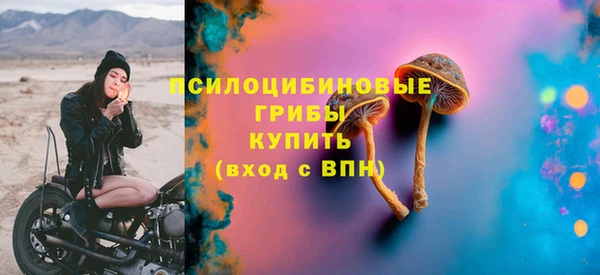 трава Куйбышев