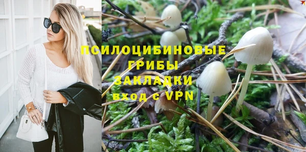 соль ск Кулебаки