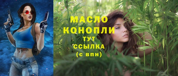 соль ск Кулебаки