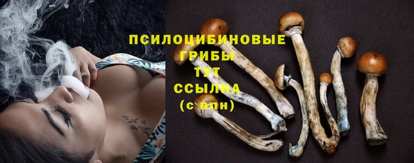 соль ск Кулебаки