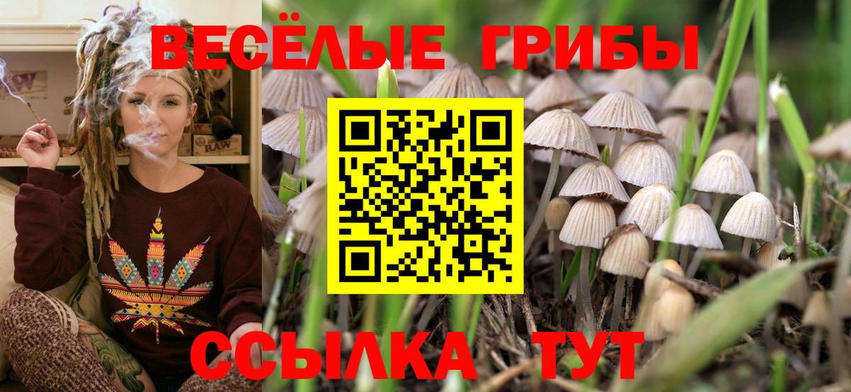Галлюциногенные грибы мицелий Самара