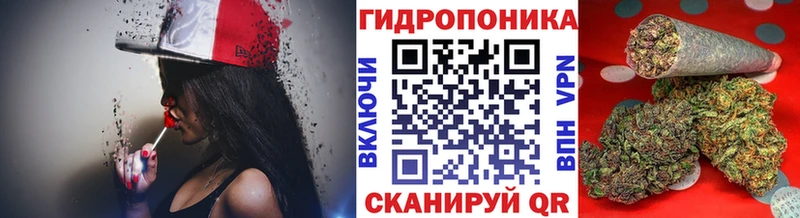 Шишки марихуана планчик Самара